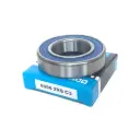 بلبرینگ وسط پلوس شبکه فیبری (6006-2RS-C3-PA) ODM