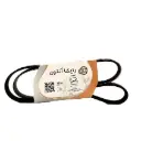 تسمه هیدرولیک پراید - رایکاآلتون